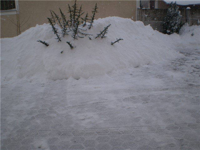 novi snijeg